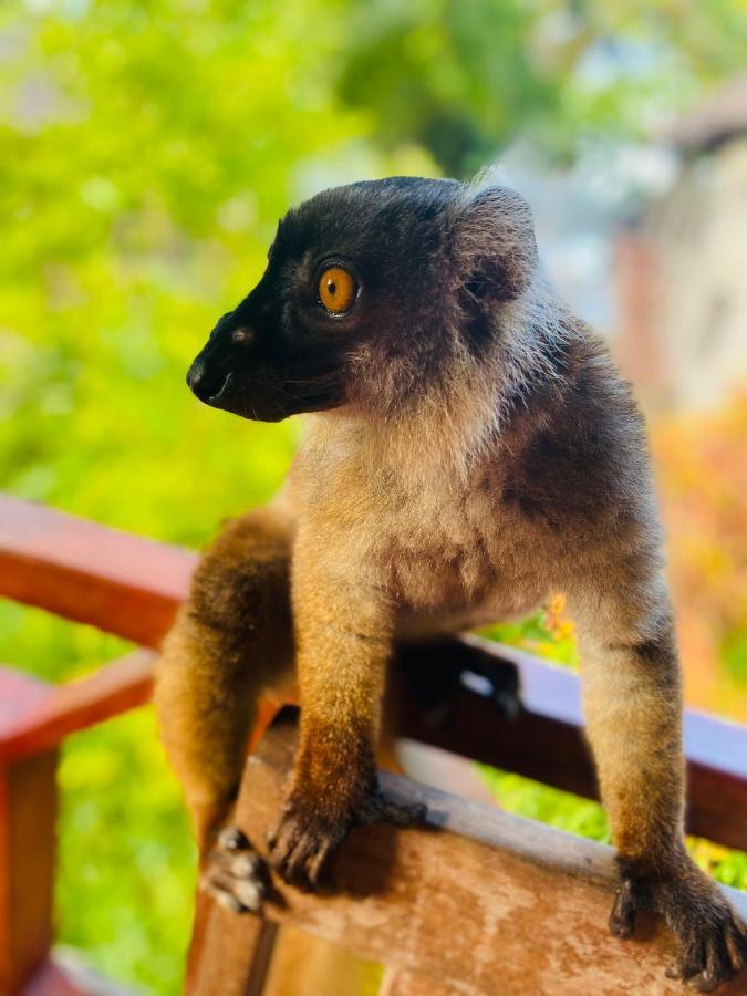 Tamarin Lodge Ampangorinana Екстер'єр фото
