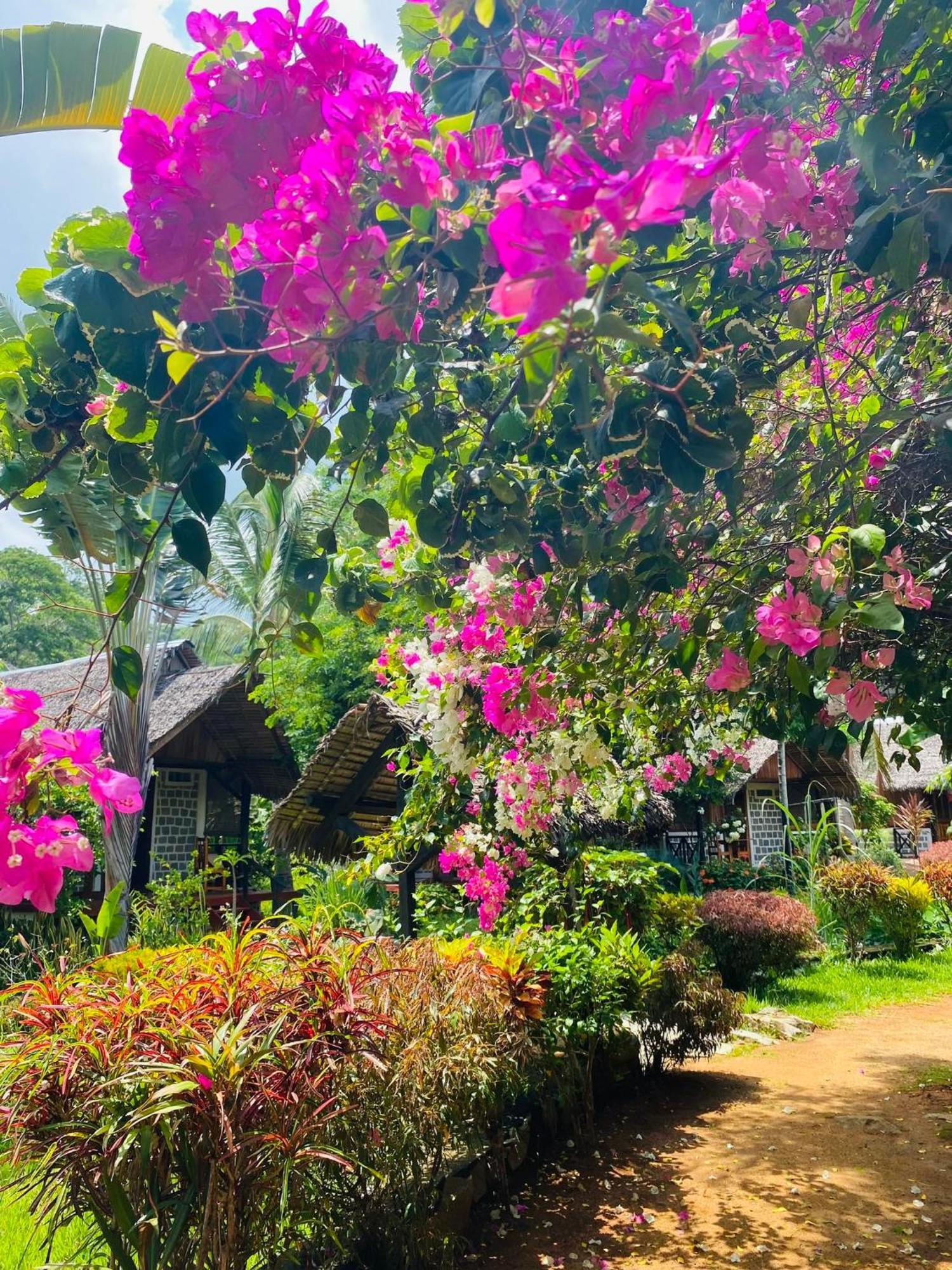 Tamarin Lodge Ampangorinana Екстер'єр фото