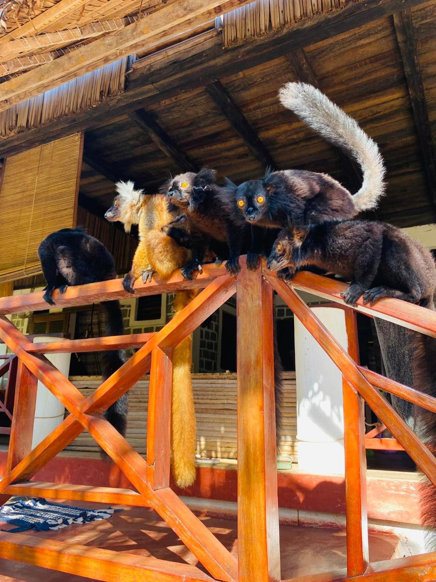 Tamarin Lodge Ampangorinana Екстер'єр фото